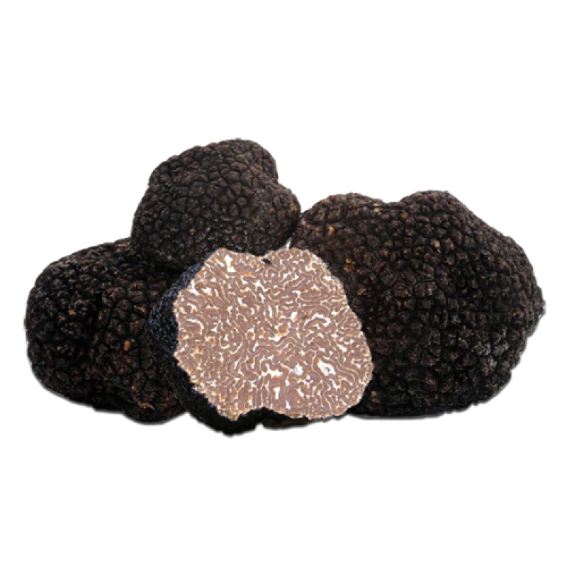 Fresh Burgundy black Truffles T. uncinatum Italy from Italy